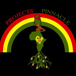 Projects 2 Pinnacle ft Marshata Caradine