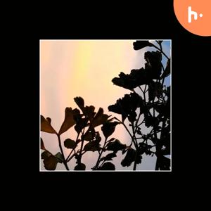 Our presumptions ️