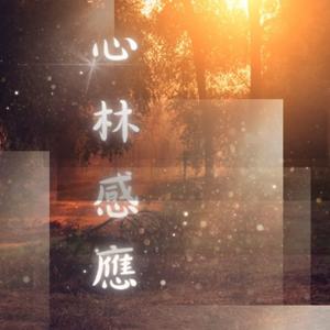 心林感應