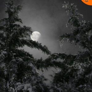 A spectrum of thoughts.