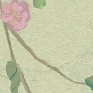 Data Science Career Tips