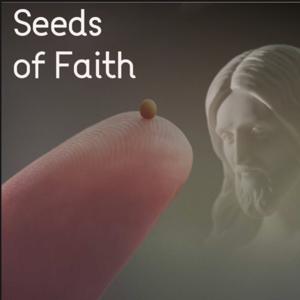 Seeds of Faith
