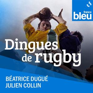 Dingues de rugby