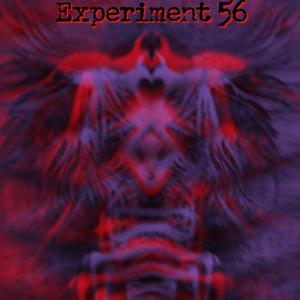 Experiment 56