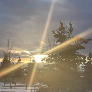 The Journey Back to Myself