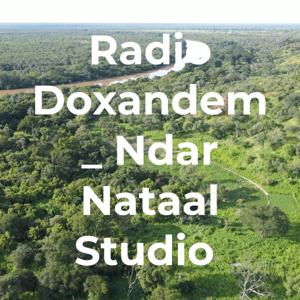 Radio Doxandem _ Ndar Nataal Studio