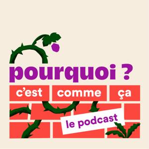 Pourquoi c'est comme ça ?