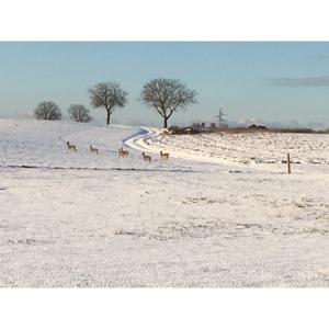 J'aime la chasse? Journal