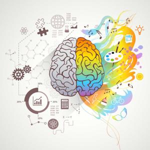 Neurociencia al Día