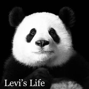 Pensando, recordando y hablando.