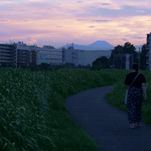 どこでもない場所　Nowhere Soundscape