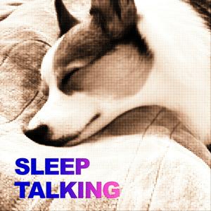 りょうのねごと