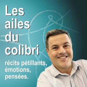 Les ailes du colibri