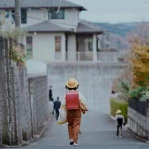 日常随记｜碑谷生长谱