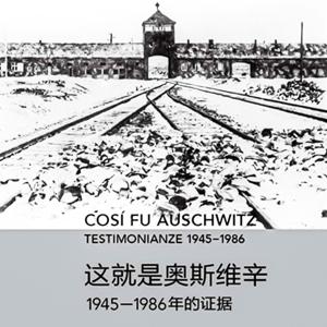这就是奥斯维辛:普里莫莱维