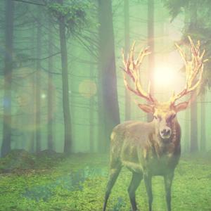 Greenman: Sons of Tara