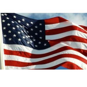 Conservative Independent Voice In Politics