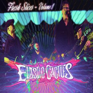 Fresh Slices - Volume 1
