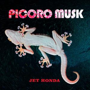 JET HONDA PICORO MUSK