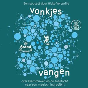 Vonkjes Vangen