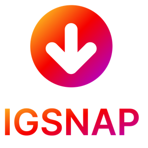Igsnap.app