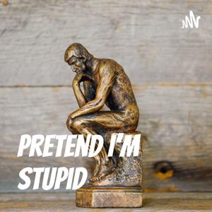 Pretend I'm Stupid