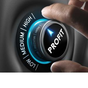 Net Profits Consulting