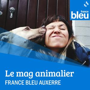 Le mag animalier