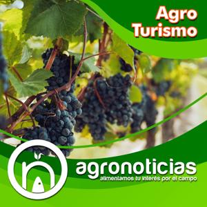 AgroTurismo