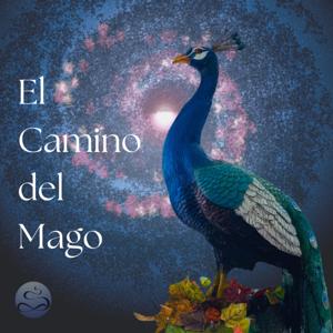 El Camino del Mago