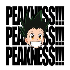 THE PEAKNESS PODCAST