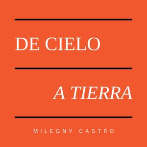 De cielo a tierra