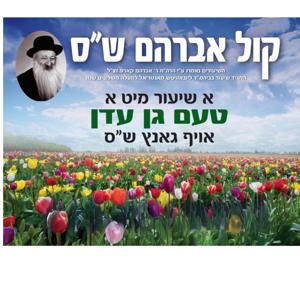 Kiddushin - Kol Avrohom Shas
