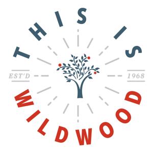 Follow into the Word