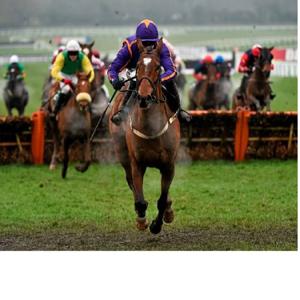 Cheltenham Festival Preview Longshotvalue