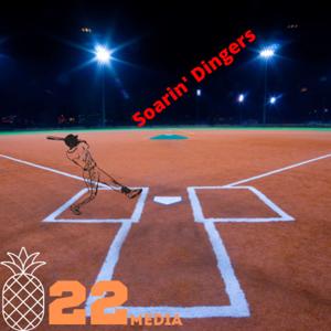 Soarin' Dingers