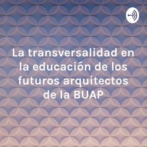 La transversalidad en la educación de los futuros arquitectos de la BUAP
