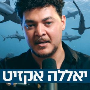 🦈 יאללה אקזיט
