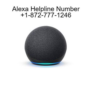 How to Set Up and Use Alexa Echo: Quick Guide For Alexa Echo Setup