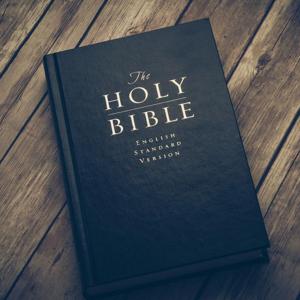 Bible Overview