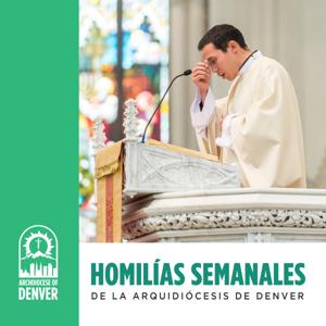 Homilías semanales de la Arquidiócesis de Denver