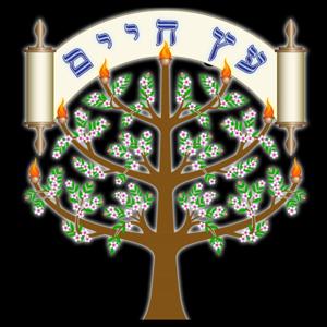 Shaul Katzav – Eitz Chaim Congregation
