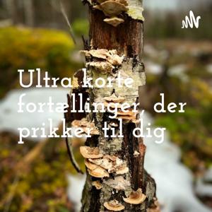 Fortællinger der prikker til dig