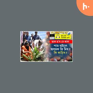 জিলাই জিলাই পাম অইলৰ খেতি! অসমৰ কৃষকে কি পাব? তেল নে চকুপানী?