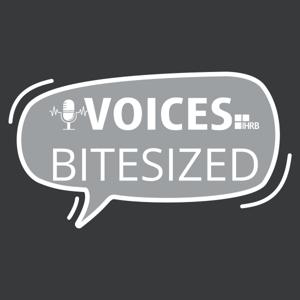 Voices Bitesized