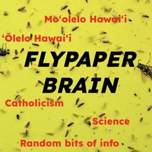 Flypaper Brain