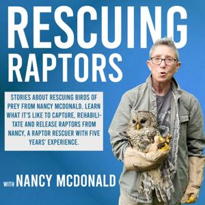 Rescuing Raptors: Stories About Birds of Prey Rescues