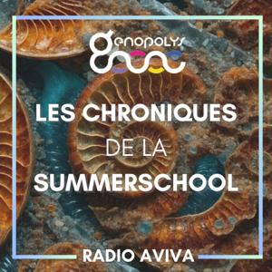 LES CHRONIQUES DE LA SUMMERSCHOOL