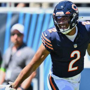 The Bear Necessities Podcast