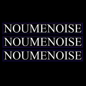 Noumenoise